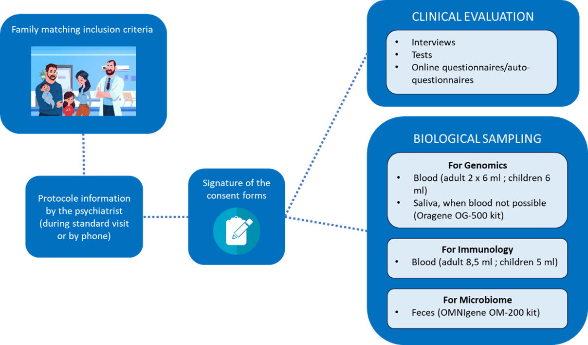 MPX study protocol